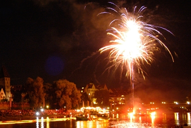 Ein Feuerwerkskörper explodiert am Nachthimmel und spiegelt sich im Wasser der Donau.