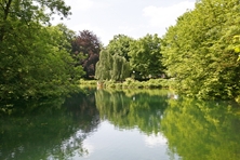 Laubbäume spiegeln sich in einem Teich
