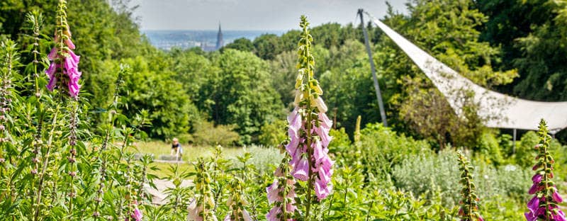 Stadt Ulm - Botanischer Garten der Universität Ulm
